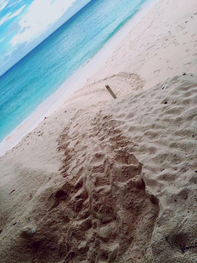يورون Thalassa Beach And Pool Villa المظهر الخارجي الصورة